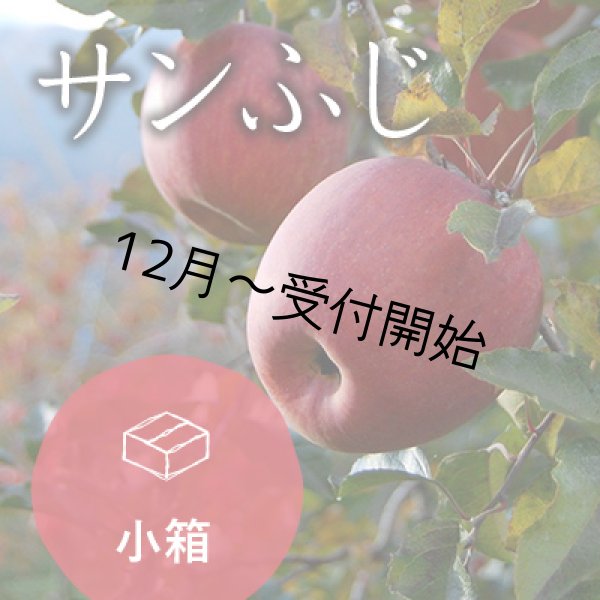 画像1: サンふじご進物用小箱（8-11玉） (1)