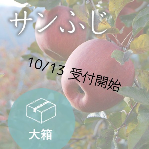 画像1: サンふじご家庭用大箱（26-32玉） (1)