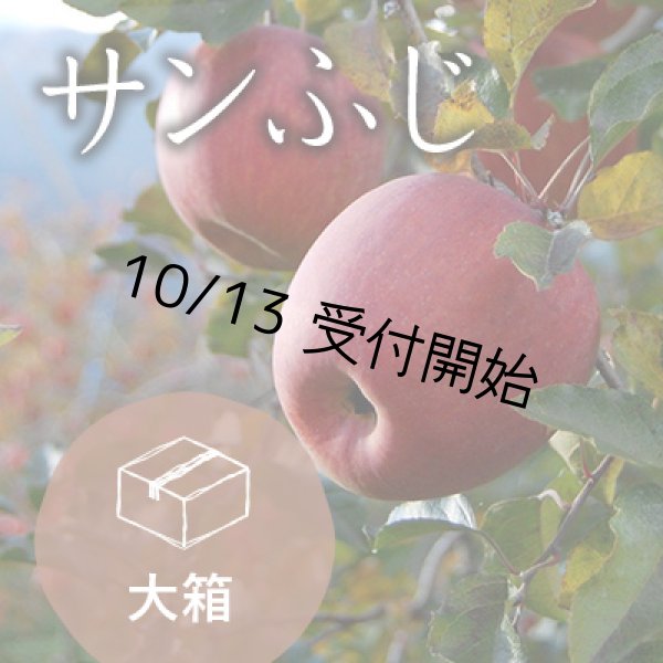 画像1: サンふじ訳あり大箱（26-32玉） (1)