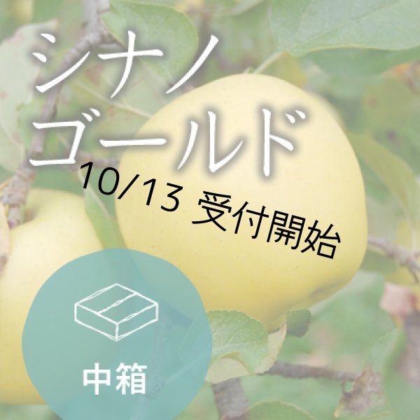 画像1: シナノゴールドご家庭用中箱（13-16玉） (1)