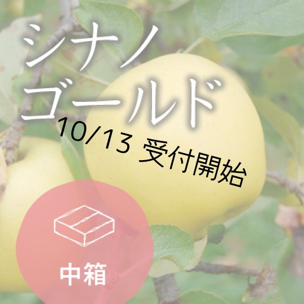 画像1: シナノゴールドご進物用中箱（13-18玉） (1)