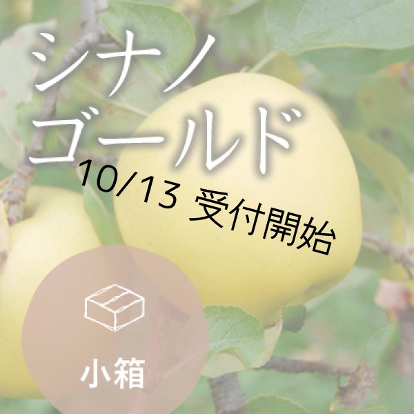 画像1: シナノゴールド訳あり小箱（約8-11玉） (1)