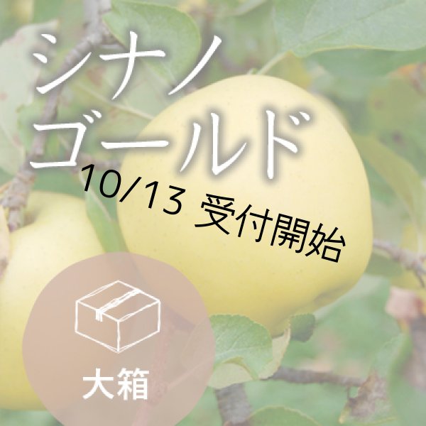 画像1: シナノゴールド訳あり大箱（26-32玉） (1)