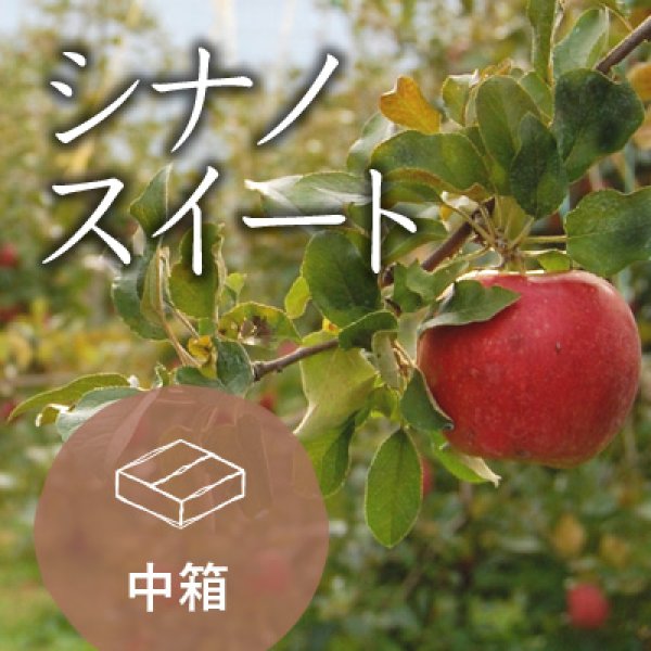 画像1: シナノスイート訳あり中箱（13-16玉） (1)