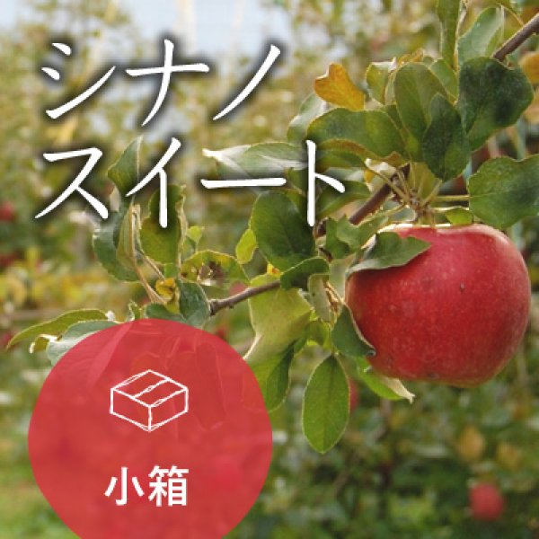 画像1: 【10％OFF】シナノスイートご進物用中箱（13-16玉） (1)