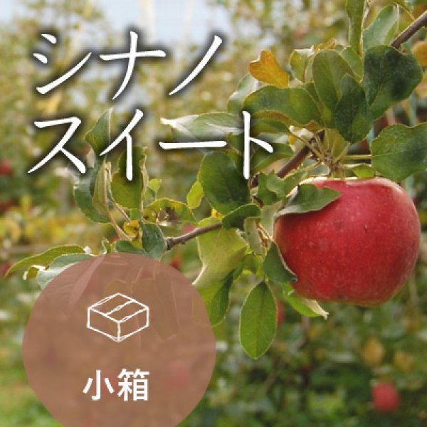 画像1: 【10％OFF】シナノスイート訳あり中箱（13-16玉） (1)