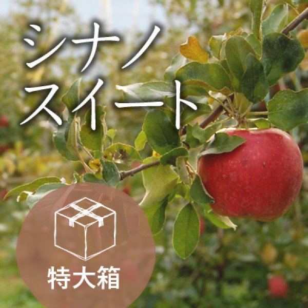 画像1: シナノスイート訳あり特大箱（39-48玉） (1)