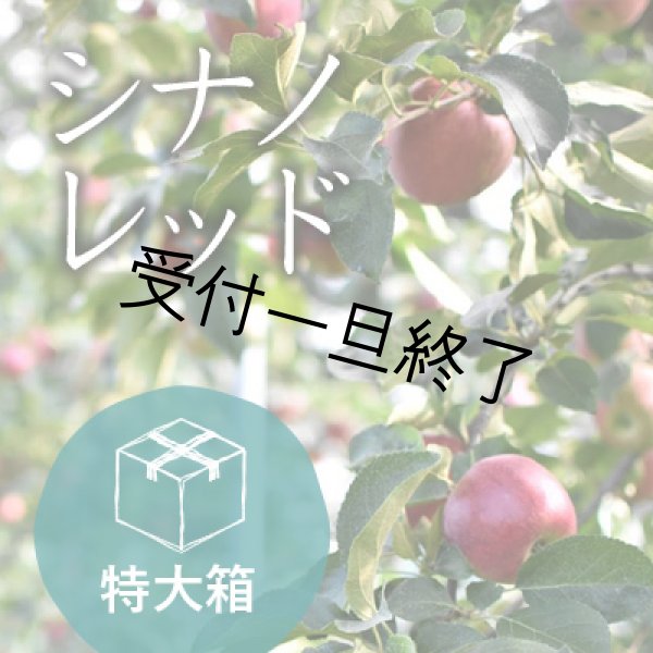 画像1: シナノレッドご家庭用特大箱（39-48玉）クール (1)