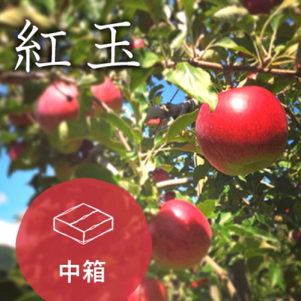画像1: 紅玉ご進物用中箱（18-24玉） (1)
