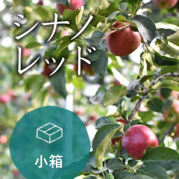 画像1: シナノレッドご家庭用小箱（8-11玉）クール (1)