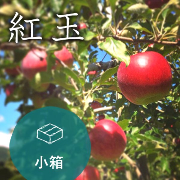 画像1: 紅玉ご家庭用小箱（12-14玉） (1)