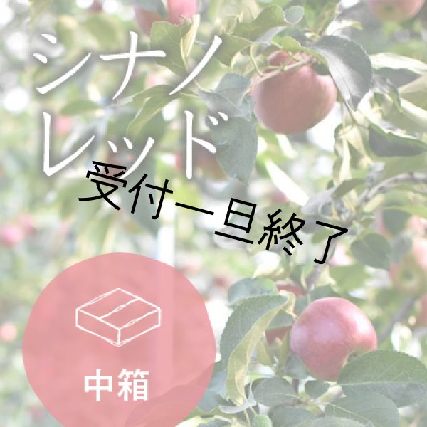 画像1: シナノレッドご進物用中箱（13-16玉）クール (1)