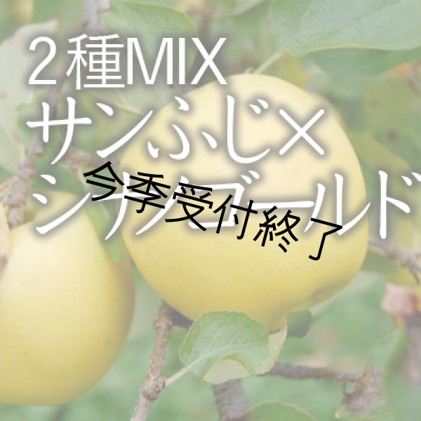 画像1: 【2種MIX】サンふじ×シナノゴールド進物用中箱（13-16玉） (1)