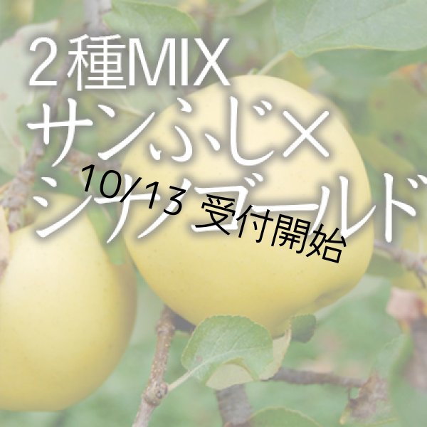 画像1: 【2種MIX】 サンふじ×シナノゴールド家庭用小箱（8-11玉） (1)