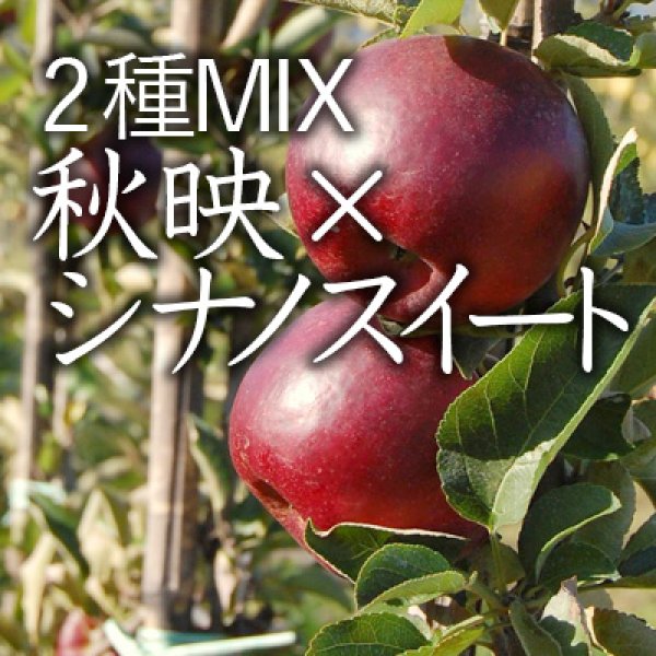 画像1: 【10％OFF】2種MIX / 秋映×シナノスイート進物用中箱（13-16玉） (1)