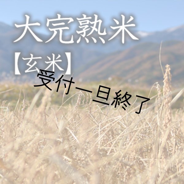 画像1: 大完熟米/玄米10kg第3期（2022年6月お届け） (1)