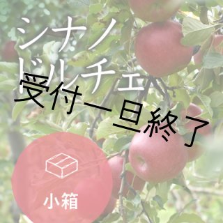りんごのけん玉 【販売終了】 | more trees store【JP】