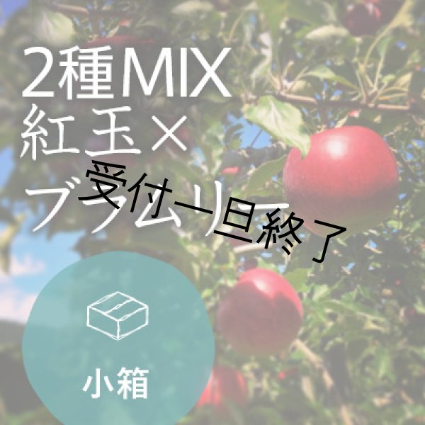 画像1: 【2種MIX】紅玉×ブラムリー家庭用小箱（8-13玉） (1)