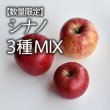 画像1: レア新品種食べ比べ♪シナノ3種MIX／訳あり中箱／クール便 (1)