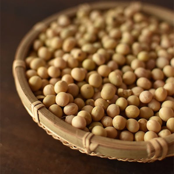 画像1: 大豆（農薬不使用）3kg (1)
