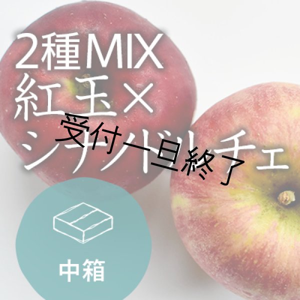 画像1: 【2種MIX】紅玉×シナノドルチェ家庭用中箱もみがら入り（14-21玉） (1)