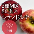 画像1: 【2種MIX】紅玉×シナノドルチェご進物用中箱もみがら入り（14-21玉） (1)