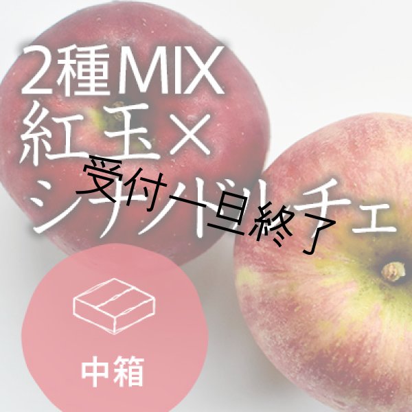 画像1: 【2種MIX】紅玉×シナノドルチェご進物用中箱もみがら入り（14-21玉） (1)