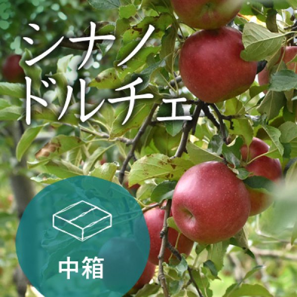画像1: シナノドルチェご家庭用中箱（13-16玉）クール便 (1)