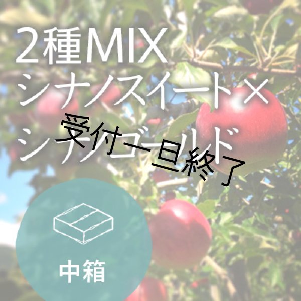 画像1: 【2種MIX】シナノスイート×シナノゴールドご家庭用中箱 (1)
