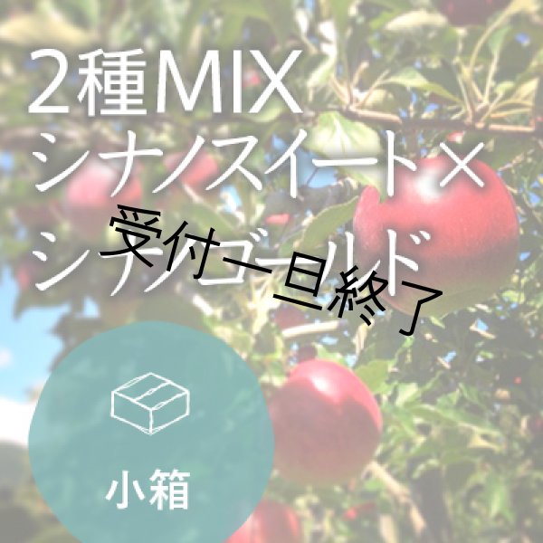 画像1: 【2種MIX】シナノスイート×シナノゴールドご家庭用小箱 (1)