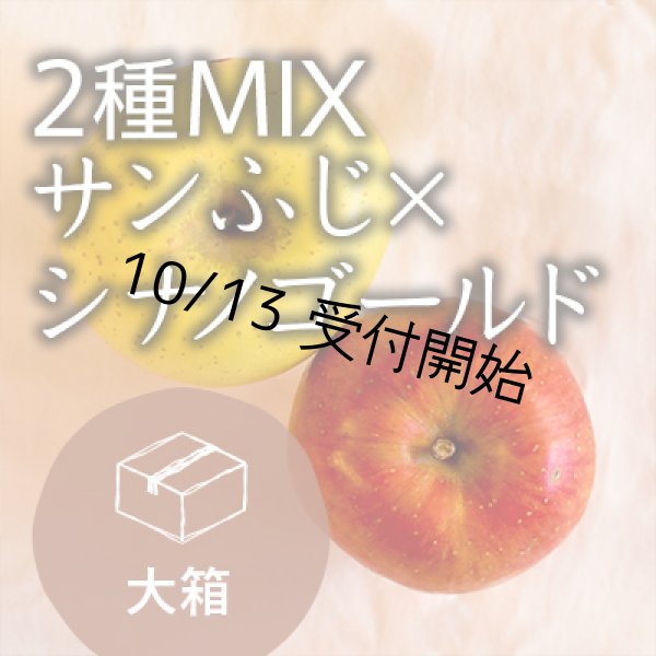 画像1: 【2種MIX】サンふじ×シナノゴールド訳あり大箱（26-32玉） (1)