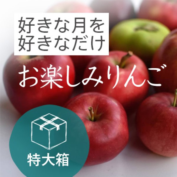 画像1: 10月のりんご特大箱（約39-48玉） /　お楽しみりんご (1)