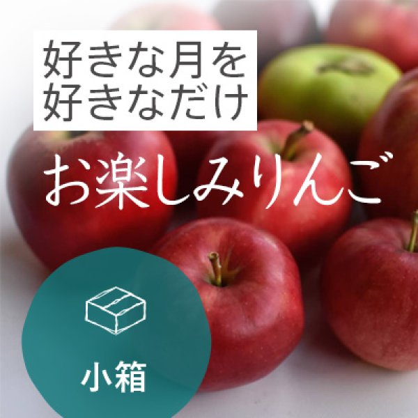 画像1: 【10％OFF】11月のりんご特大箱（約39-48玉） / お楽しみりんご (1)