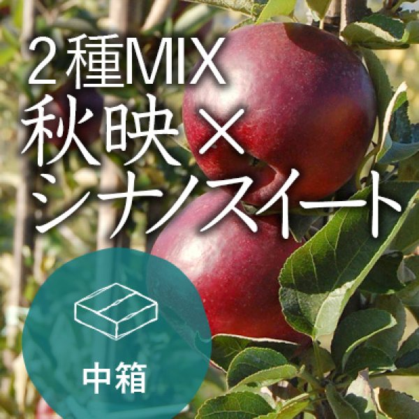 画像1: 【2種MIX】秋映×シナノスイート家庭用中箱（13-16玉） (1)