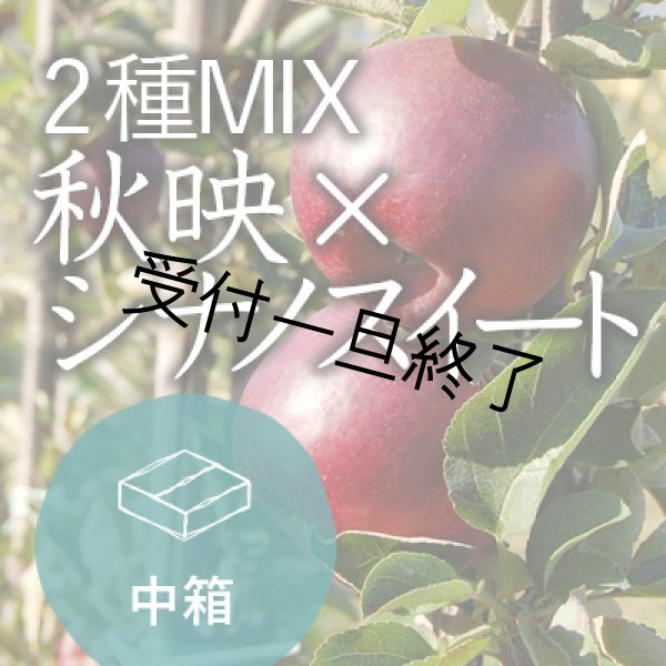 画像1: 【2種MIX】秋映×シナノスイート家庭用中箱（13-16玉） (1)