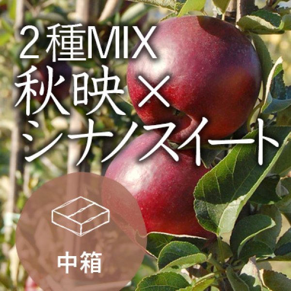 画像1: 【2種MIX】秋映×シナノスイート訳あり中箱（13-16玉） (1)